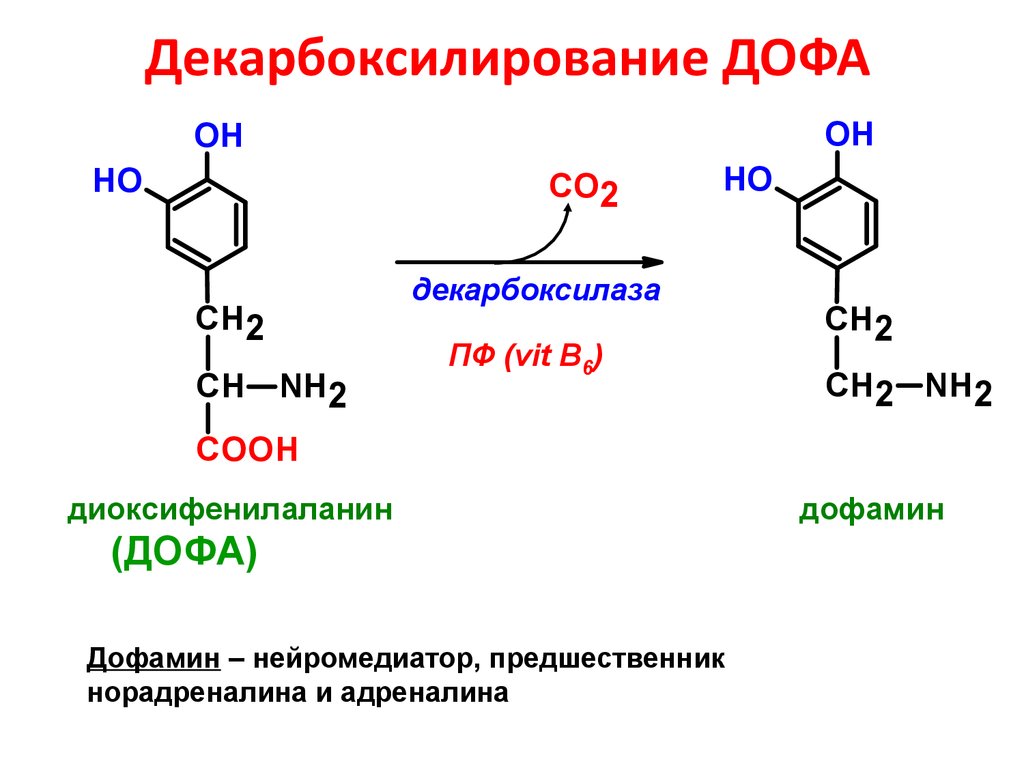 Адреналин образуется. Реакция декарбоксилирования Дофа. Декарбоксилирование диоксифенилаланина. Тирозина в Дофа реакция. Дофа дофамин реакция.