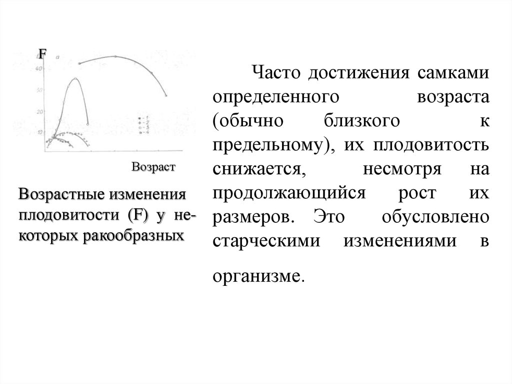 Плодовитость самок. Факторы динамики численности популяции. Плодовитость популяции. Динамический фактор. Определение женская особь.