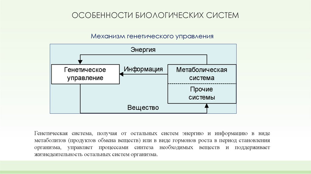 Понятие система особенности системы. Системы управления в биологии. Особенности биологических систем. Биологическая система схема. Схема управления в биологической системе.