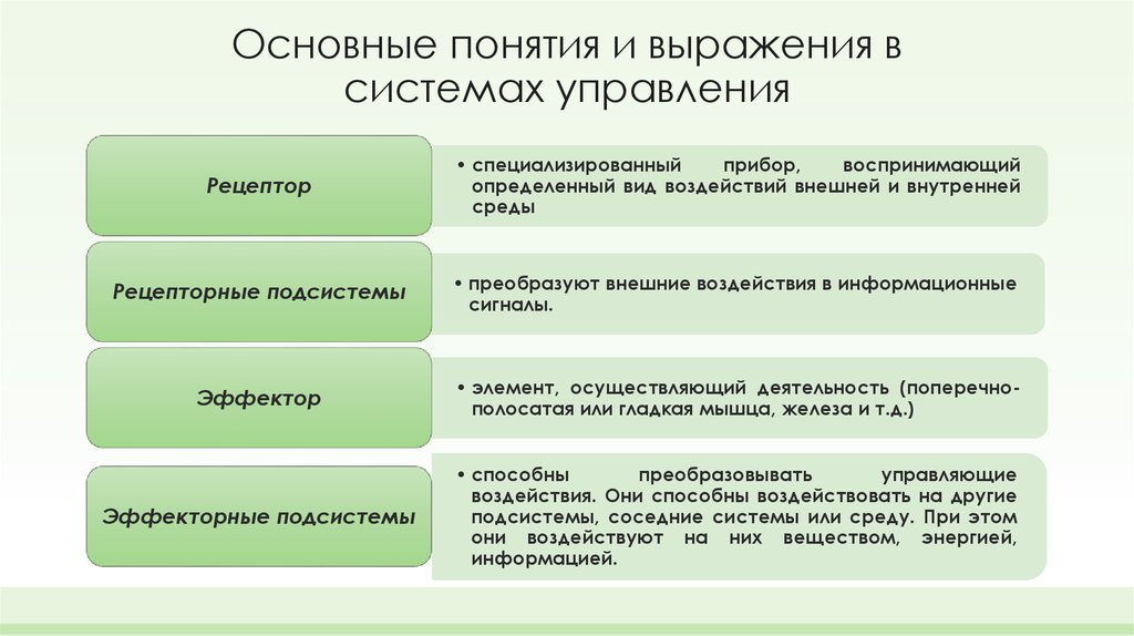 Понятие выражение. Управление в биологических системах. Основные механизмы управления в биосистеме. Система выражений. Биологические системы и их свойства.