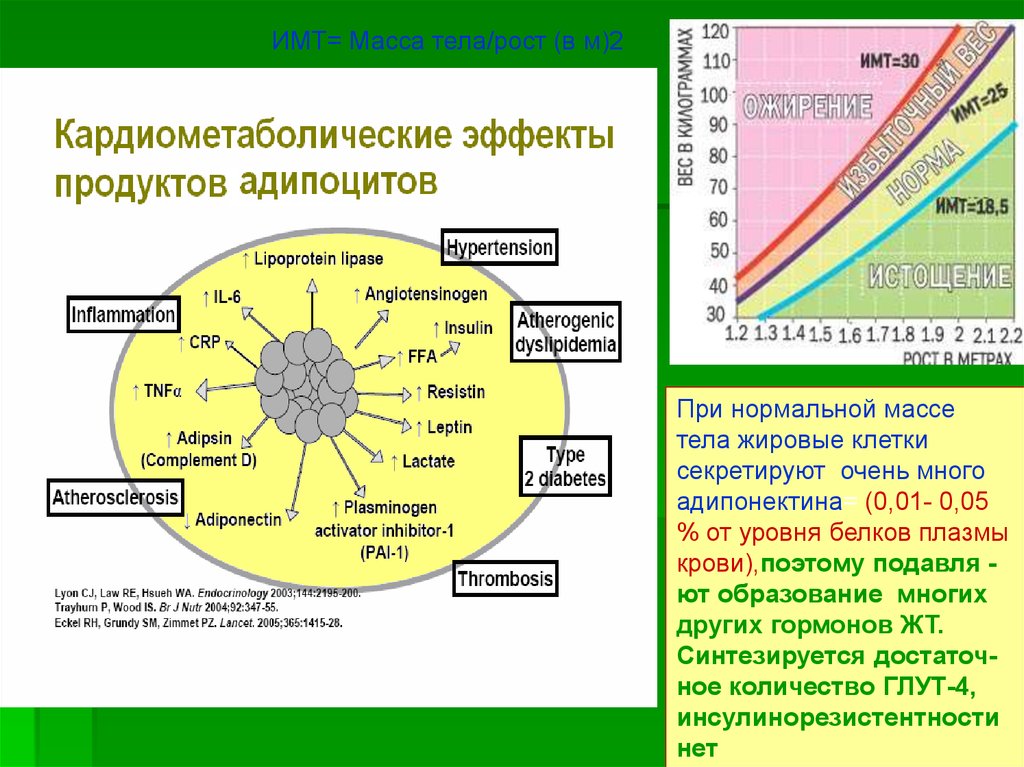 Ное количество. Механизмы формирования массы. Кардиометаболические. Механизм формирования инсулинор. Кардиометаболические нарушения это.