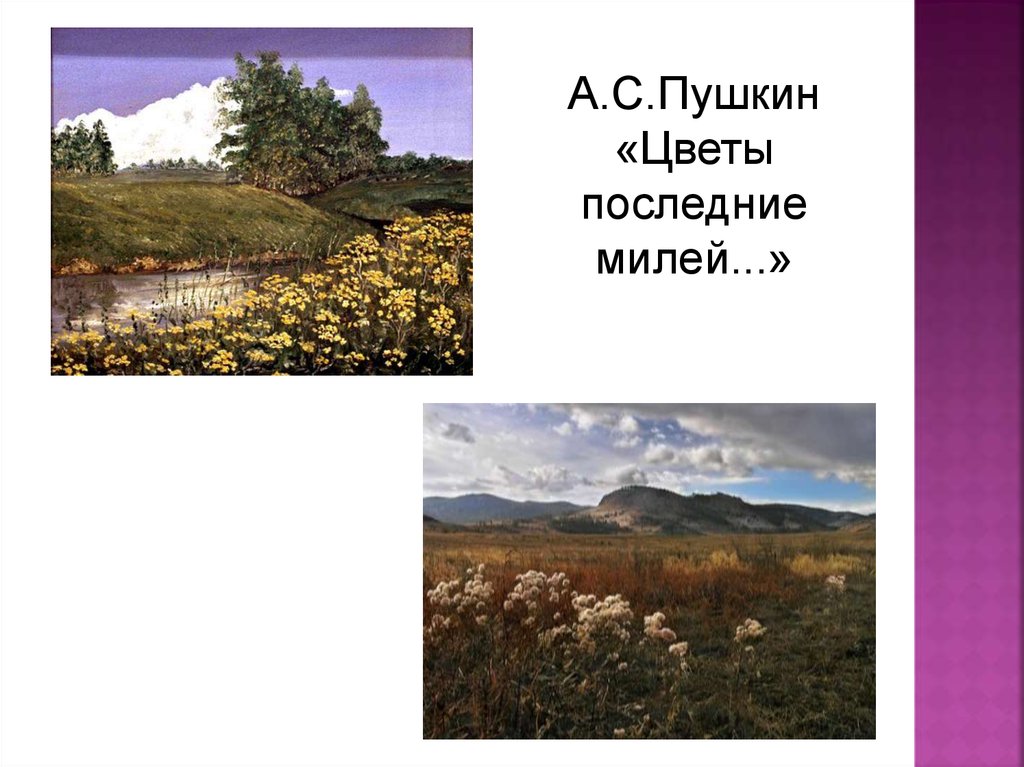 Цветы последние милей тема. Пушкин цветы последние милей. А С Пушкин цветы последние милей рисунок. Пушкин стих цветы последние. А.С.Пушкин цвепоследней милей.