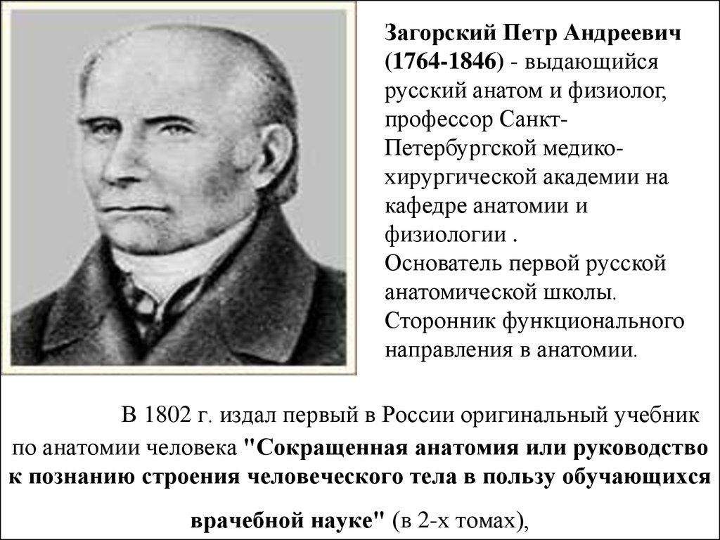 Ученые основатели анатомии. Загорский первый создатель анатомической школы.