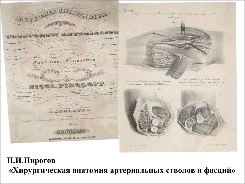 Атлас топографической анатомии. Пирогов Николай Иванович анатомический атлас. Хирургическая анатомия артериальных стволов и фасций 1837 пирогов. Пирогов Николай Иванович атлас топографической анатомии. Хирургическая анатомия артериальных стволов и фасций Пирогова.