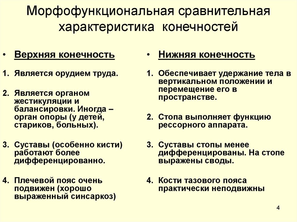 Особенности верхних и нижних конечностей. Сравнительная характеристика верхней и нижней конечностей. Сравнительная характеристика скелета верхней и нижней конечностей. Сравнительная характеристика соединений верхней и нижней конечности. Морфофункциональная характеристика верхних конечностей.