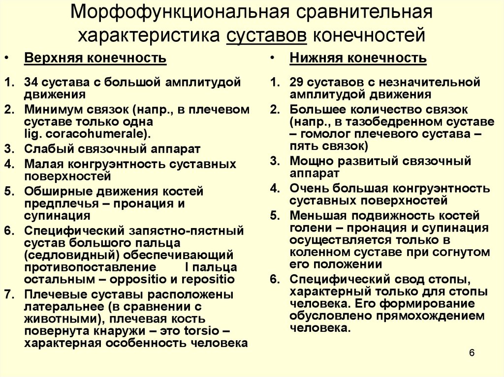 Суставы верхней и нижней конечностей. Характеристика суставов верхних и нижних конечностей. Характеристика суставов верхней конечности. Суставы верхней конечности таблица. Сравнительная характеристика верхней и нижней конечностей.