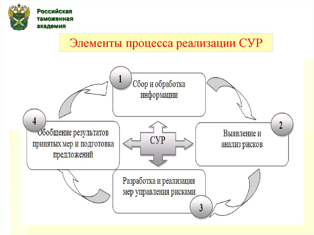 Виды сур. Управление рисками в таможенном деле. Система управления рисками таможня. Элементы системы управления рисками в таможенном деле. Сур система управления рисками.