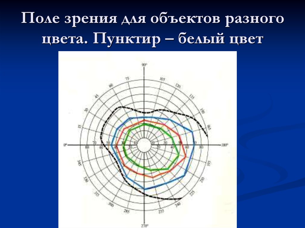 Поле зрения 6. Поля зрения для разных цветов. Различные поля зрения для различных цветов. Поле зрения на белый цвет. Большое поле зрения.