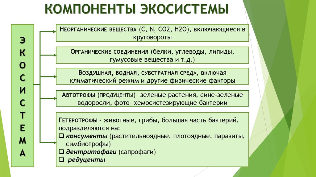 Компоненты экосистемы презентация