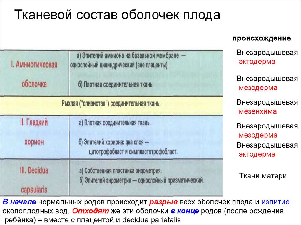 Отхождение околоплодных вод. Классификация отхождения околоплодных вод. Строение околоплодных вод. Функции оболочек плода. Плодные оболочки, функция плодных оболочек..