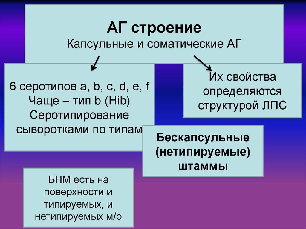 Часто тип. Серотипирования. Строение AG. Серотипирование это определение. Серотипа состав.