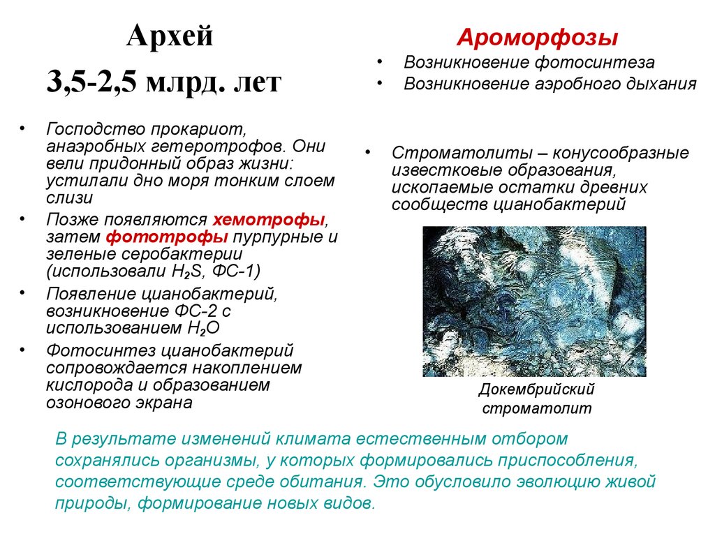 Протерозой презентация 9 класс