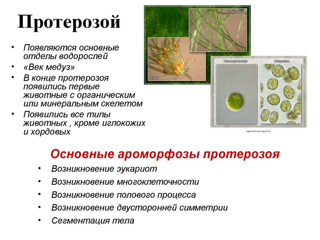 Протерозой эра презентация