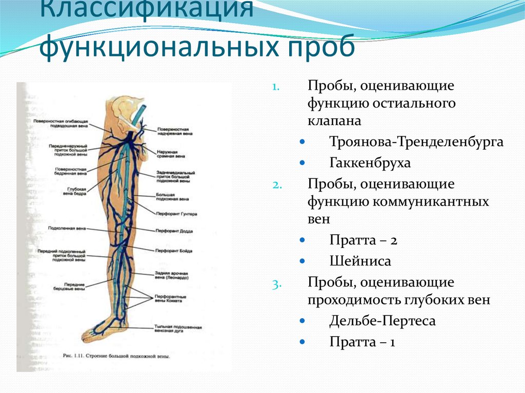 Проходимость глубоких вен