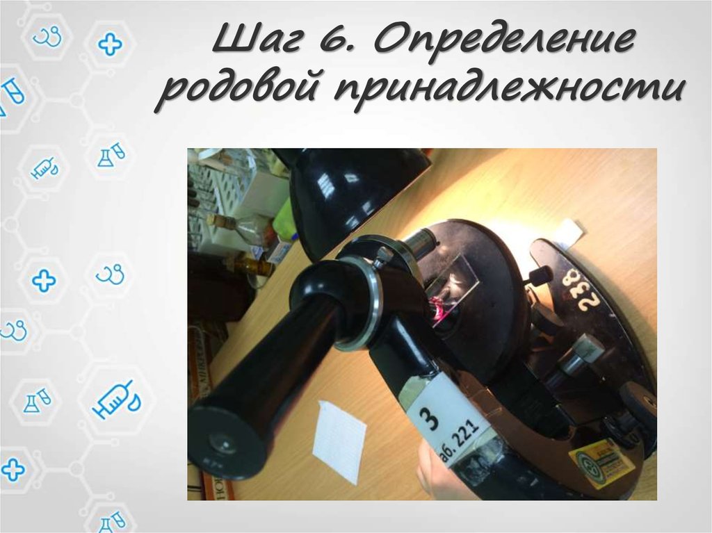 Шаг 6. Определение родовой принадлежности