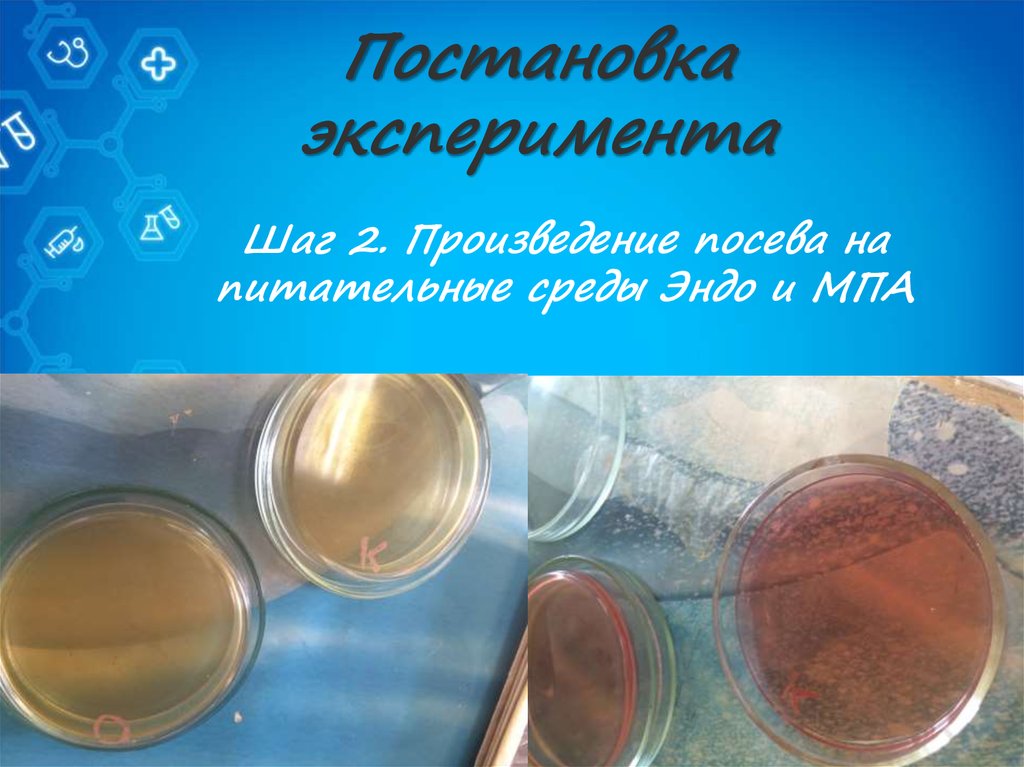 Постановка эксперимента