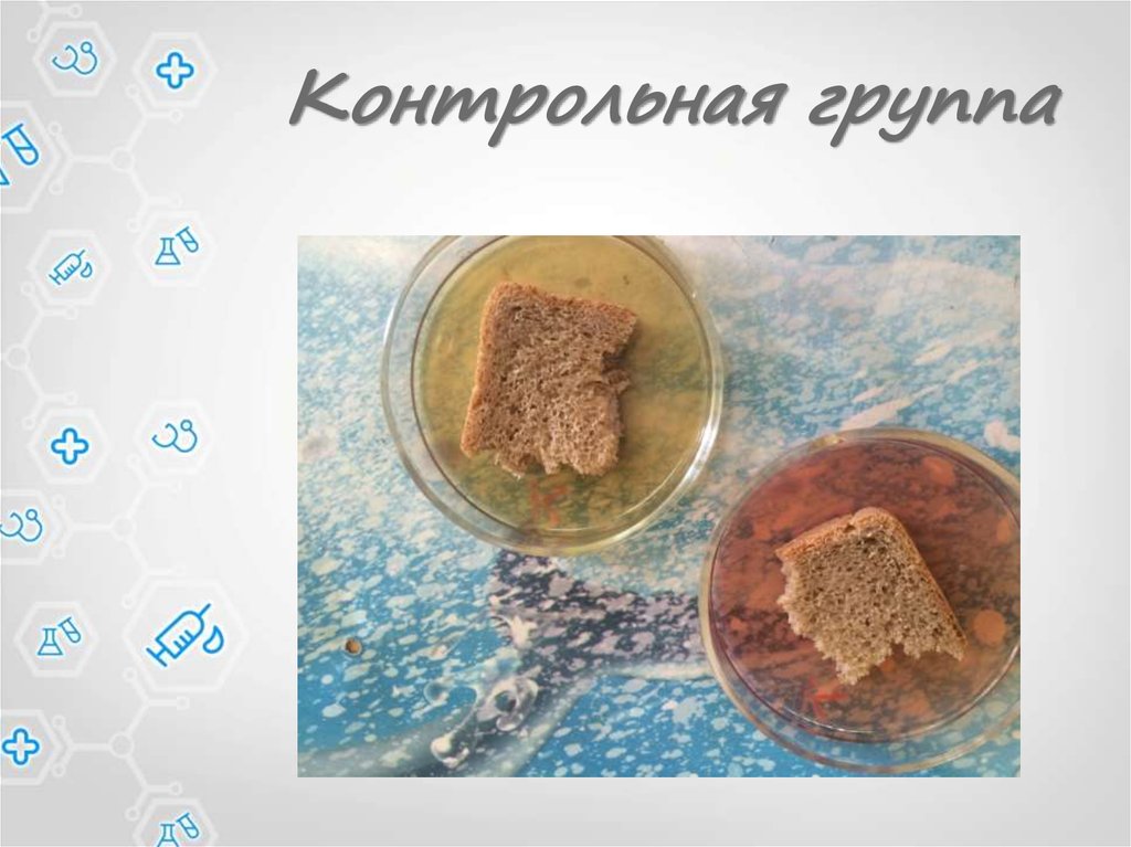 Контрольная группа