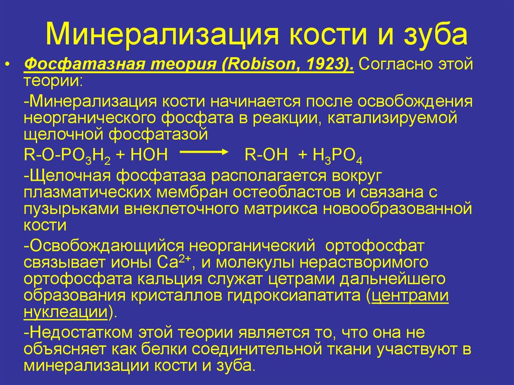 Регуляция костной ткани. Процесс минерализации костной ткани. Этапы минерализации костной ткани. Механизм минерализации костной ткани. Минерализация и деминерализация костной ткани.