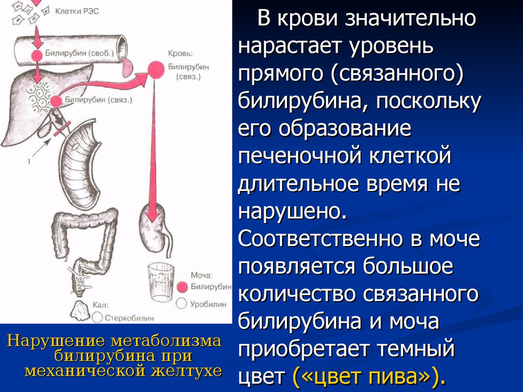 Нарушить соответственно