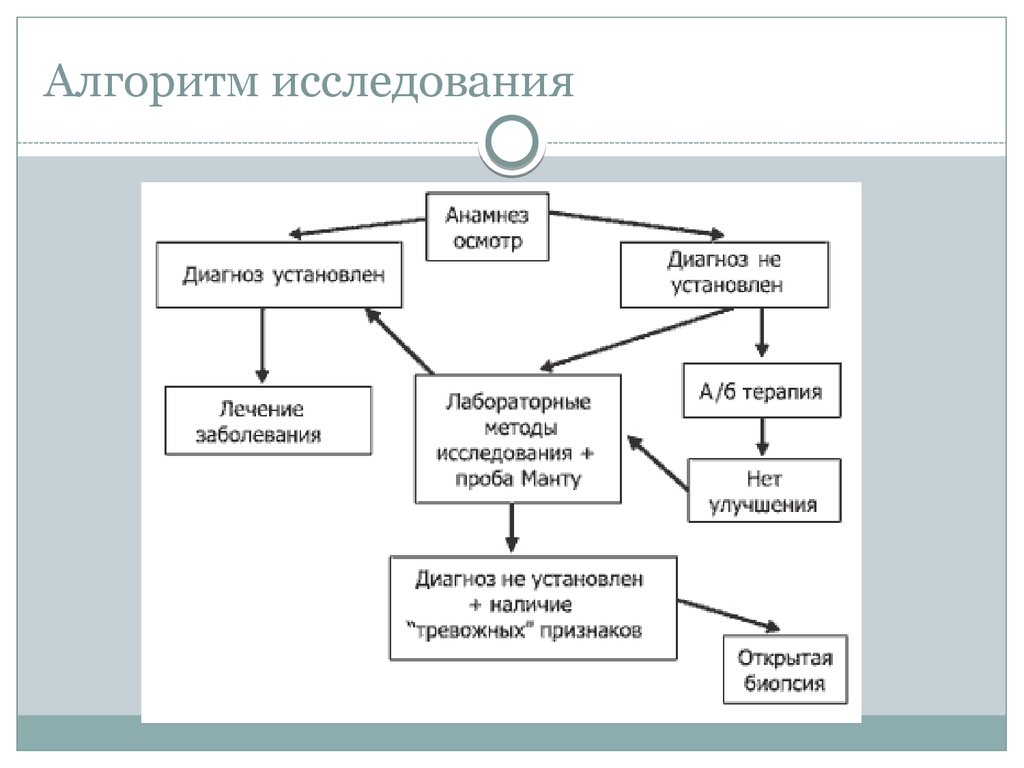 Алгоритм исследования. Алгоритм исследовательской работы. Изучение алгоритмов. Алгоритм процедуры исследования.