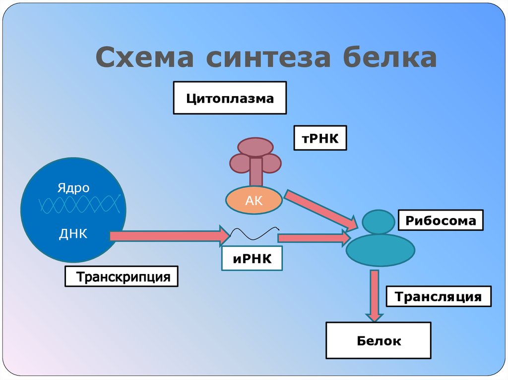 Секреты синтеза 2 архейдж квест