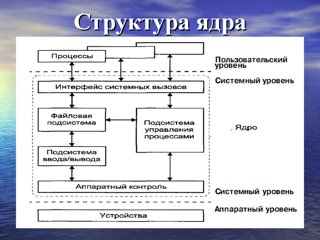 Ядро процесс биология. Структура ядра. Структура ядра таблица. Структурная система ядра. Структура системы ядра.
