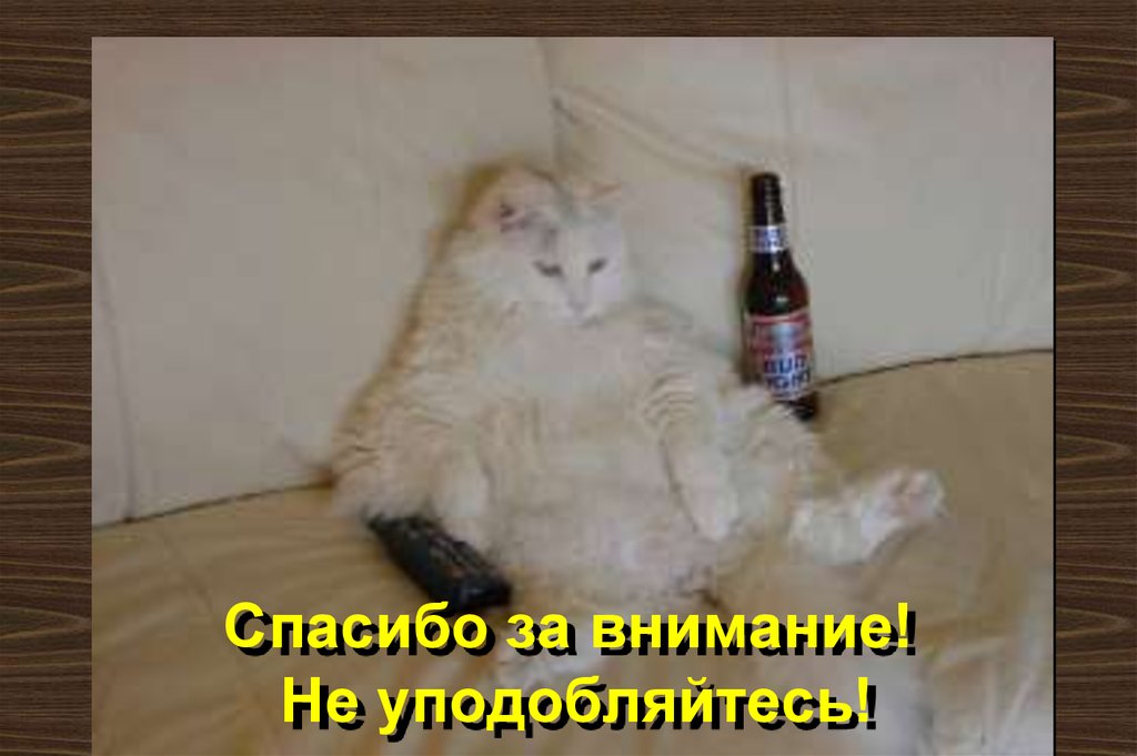 Спасибо за внимание! Не уподобляйтесь!