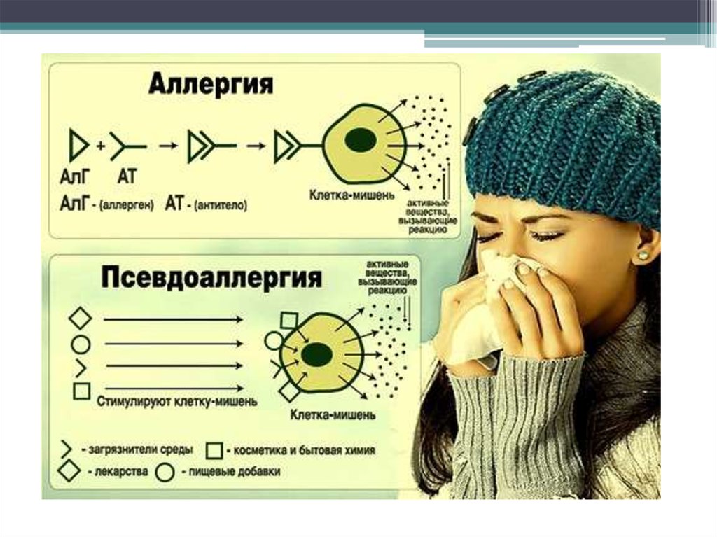 Отличие аллергии. Аллергия и псевдоаллергия. Истинная аллергия и псевдоаллергия. Истинная аллергия и псевдоаллергия разница.