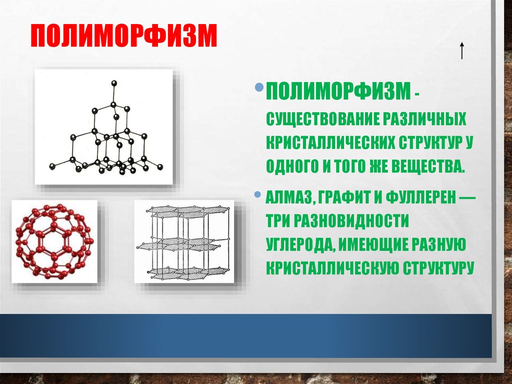 Можно ли назвать человека полиморфным