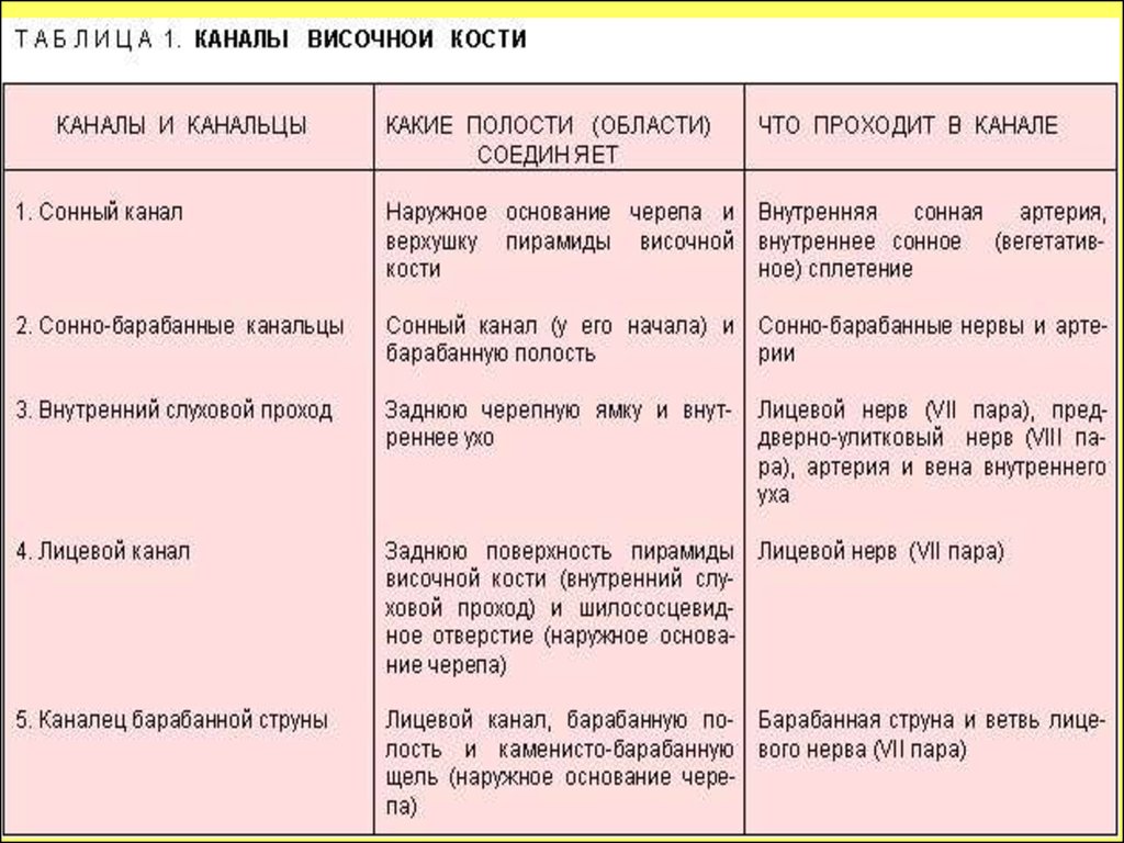 Каналы височной кости. Височная кость каналы таблица. Каналы височной кости таблица. Каналы височной кости и их содержимое. Каналы височной кости анатомия.