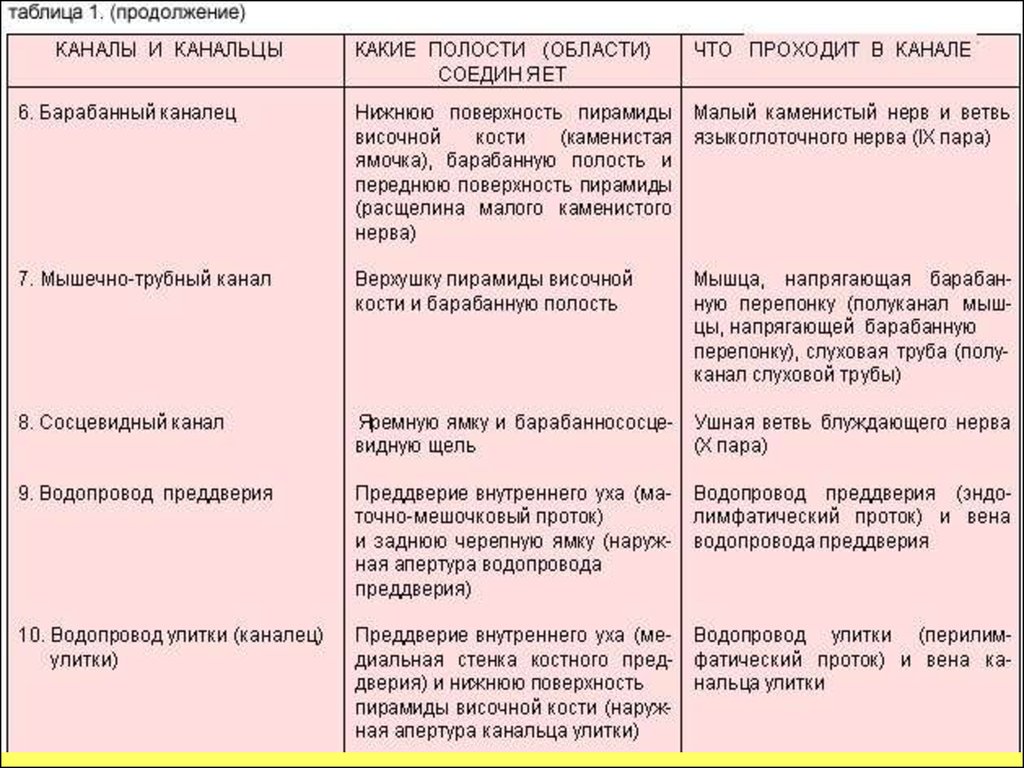 Височные каналы. Каналы височной кости анатомия. Таблица строения височной кости. Каналы височной кости таблица. 7 Каналов височной кости таблица.