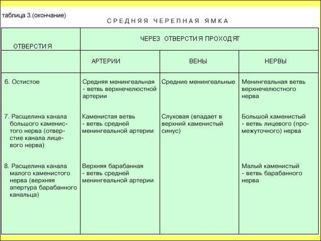 Таблица вен. Отверстия и каналы наружного основания черепа таблица. Отверстия внутреннего основания черепа таблица. Наружное основание черепа таблица. Отверстия основания черепа таблица.