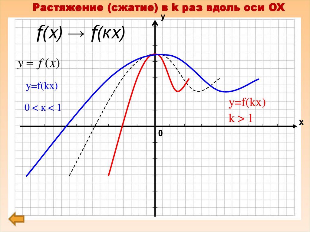 График оси ox. Растяжение по оси Ox. Растяжение вдоль оси oy. Растяжение и сжатие вдоль оси ОУ. Растяжение по оси Ox в два раза.