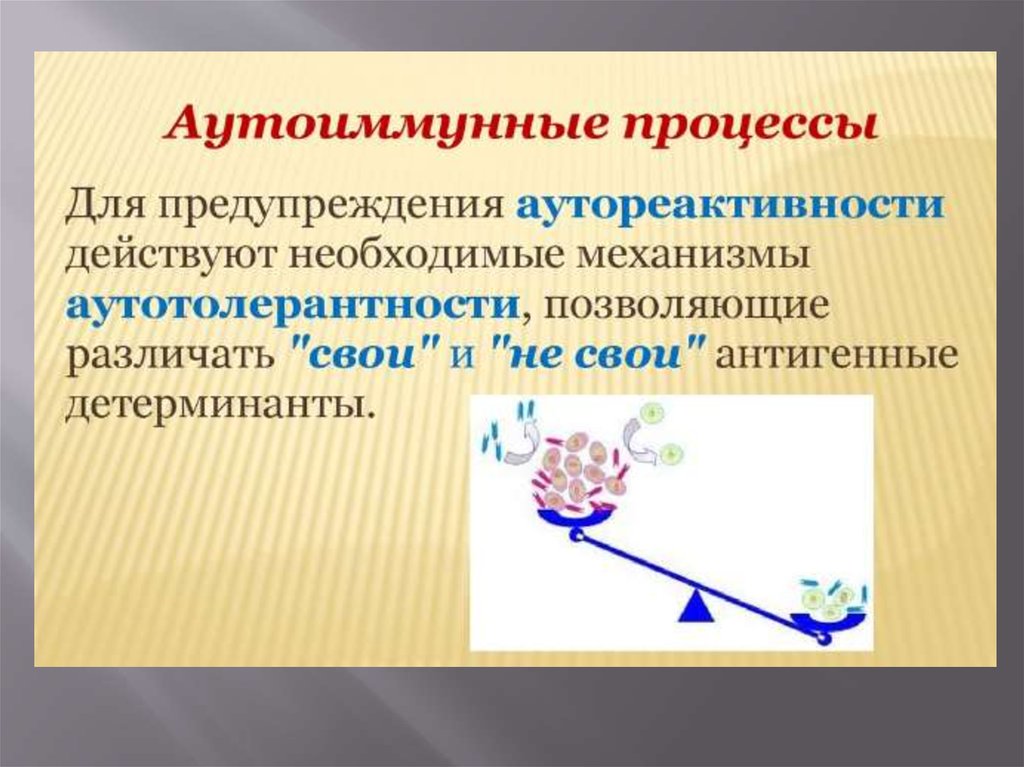 Презентация аутоиммунная патология