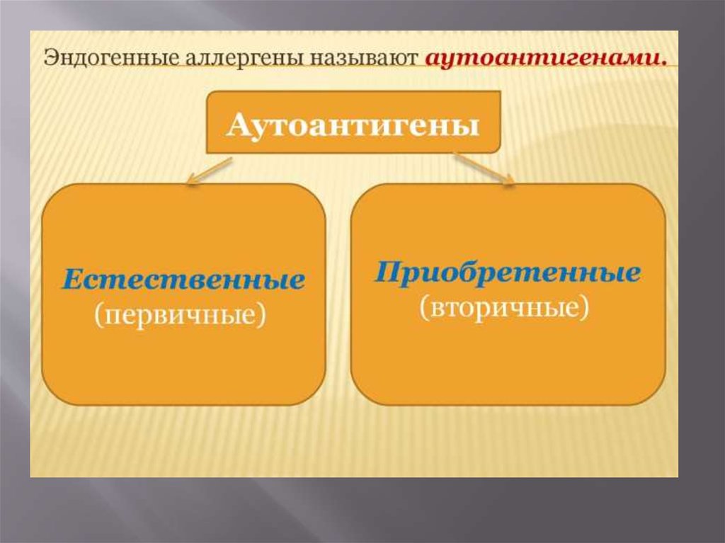 Патология презентации. Первичные эндогенные аллергены. Патологические аутоантигены. Первичные аутоантигены заболевания. Вторичные аутоантигены.