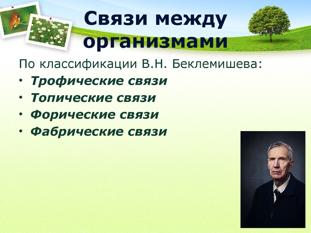 Типы связей между организмами в биоценозе презентация