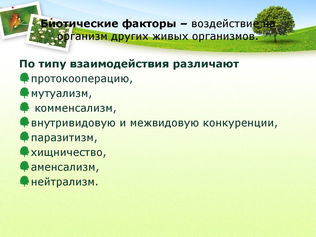 Биотические факторы и их влияние на живые организмы презентация