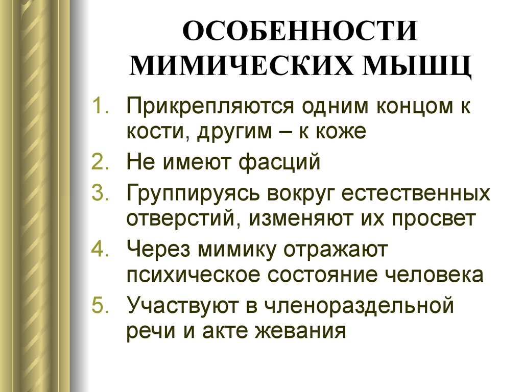 Каковы особенности прикрепления мимических мышц. Особенности мимических мышц. Особенность мистических мышц. Осоьенностимимических мышц. Особенности прикрепления мимических мышц.