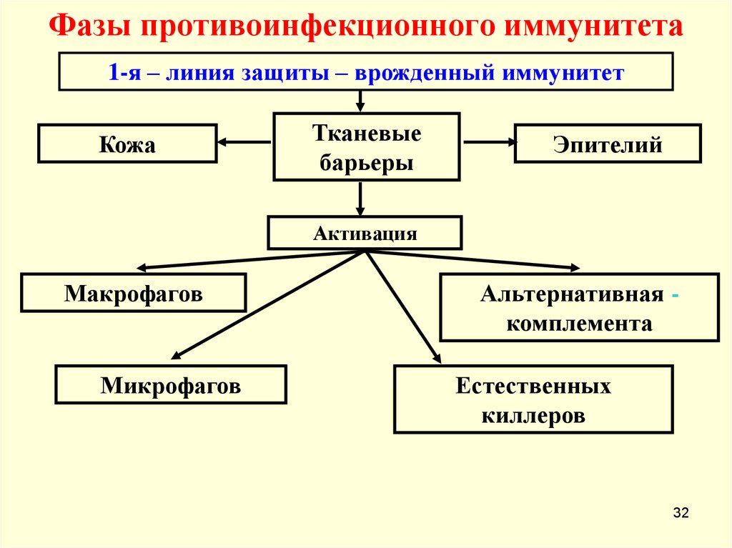 Механизмы генезиса. Механизмы противоинфекционного иммунитета. Механизмы формирования противоинфекционного иммунитета. Особенности противоинфекционного иммунитета таблица. Механизмы формирования антиинфекционного иммунитета.