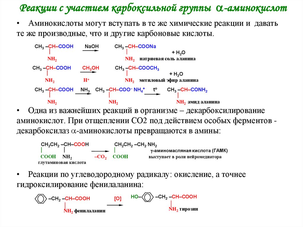 Отличие в химических свойствах аминокислот от аминов и карбоновых кислот иллюстрирует схема реакций