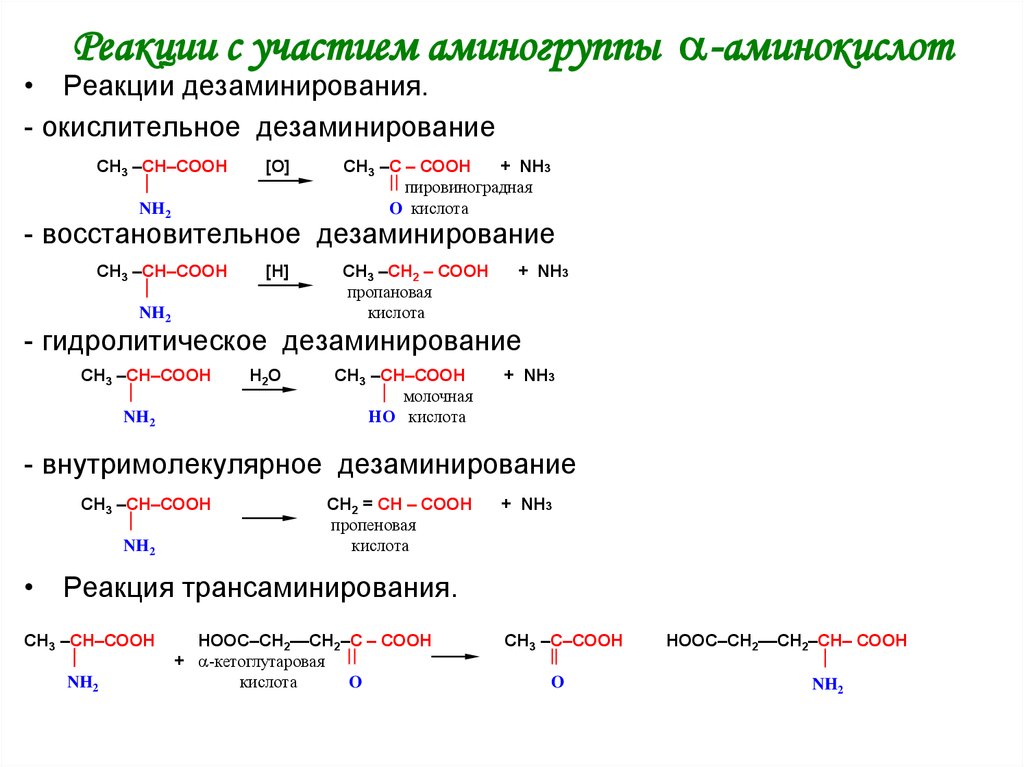 Схема реакции окислительного дезаминирования аспарагиновой кислоты