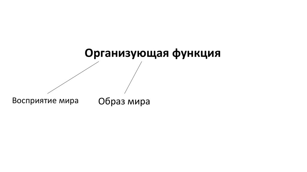 Организованная функция