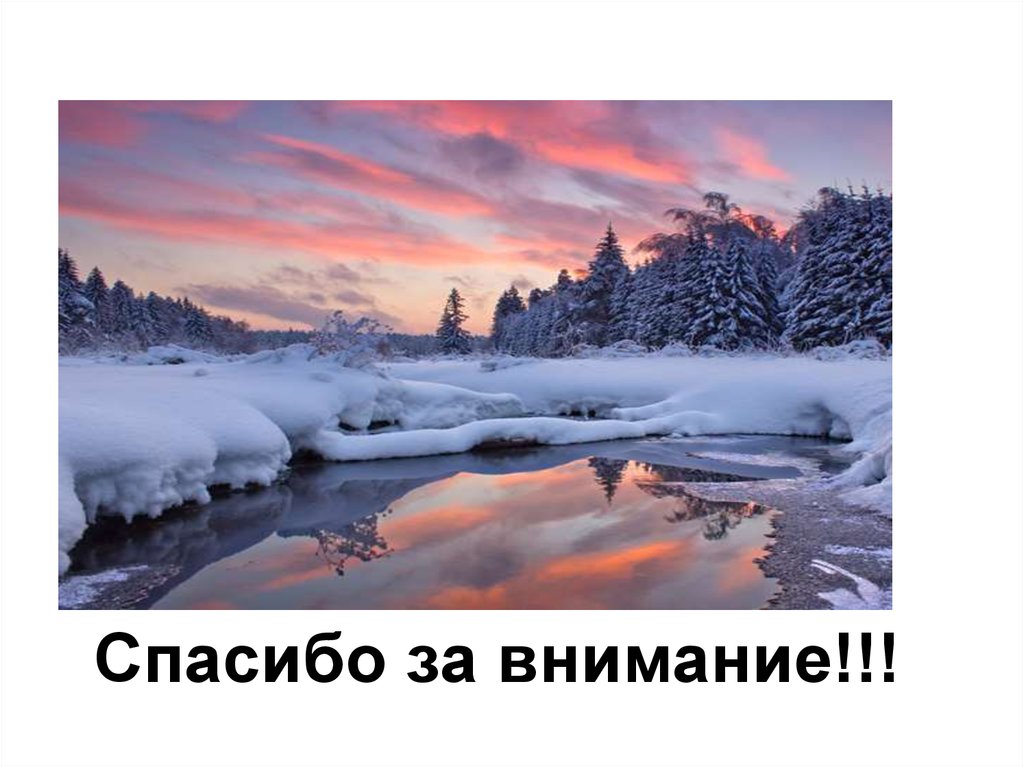 Скинула кафтан зеленый. Дмитрий Кедрин скинуло кафтан. Дмитрий Кедрин скинуло кафтан зеленый лето. Щеголиха в белой разлетайке русская румяная зима. Кедрин Дмитрий Борисович скинуло кафтан.