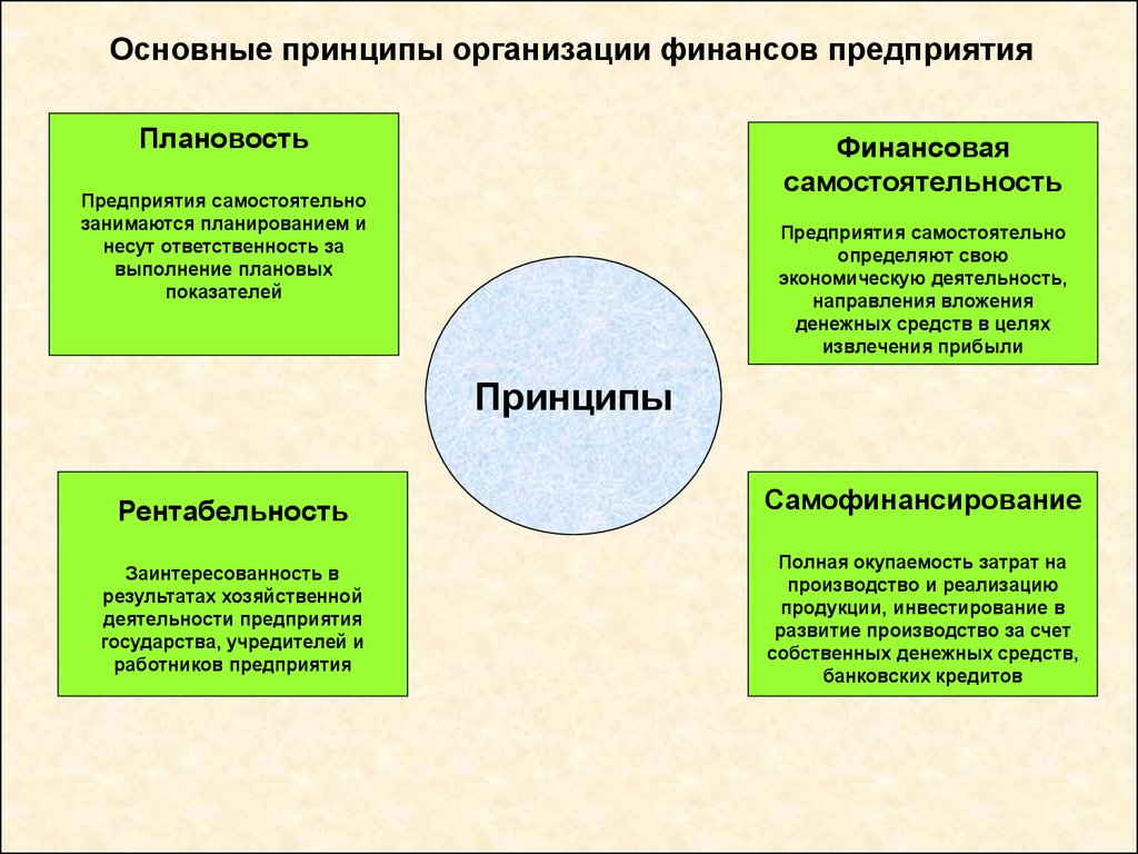 Понятие принципа деятельности. Принципы финансовой деятельности предприятия. Принципы организации финансов предприятий. Принципы организации финансовых предприятий. Каковы основные принципы организации финансов предприятия.