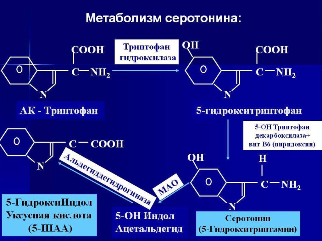 Триптофан биохимия. Синтез серотонина из триптофана биохимия. Синтез дофамина из триптофана. Синтез триптофана из индола. Синтез серотонина из триптофана реакции.