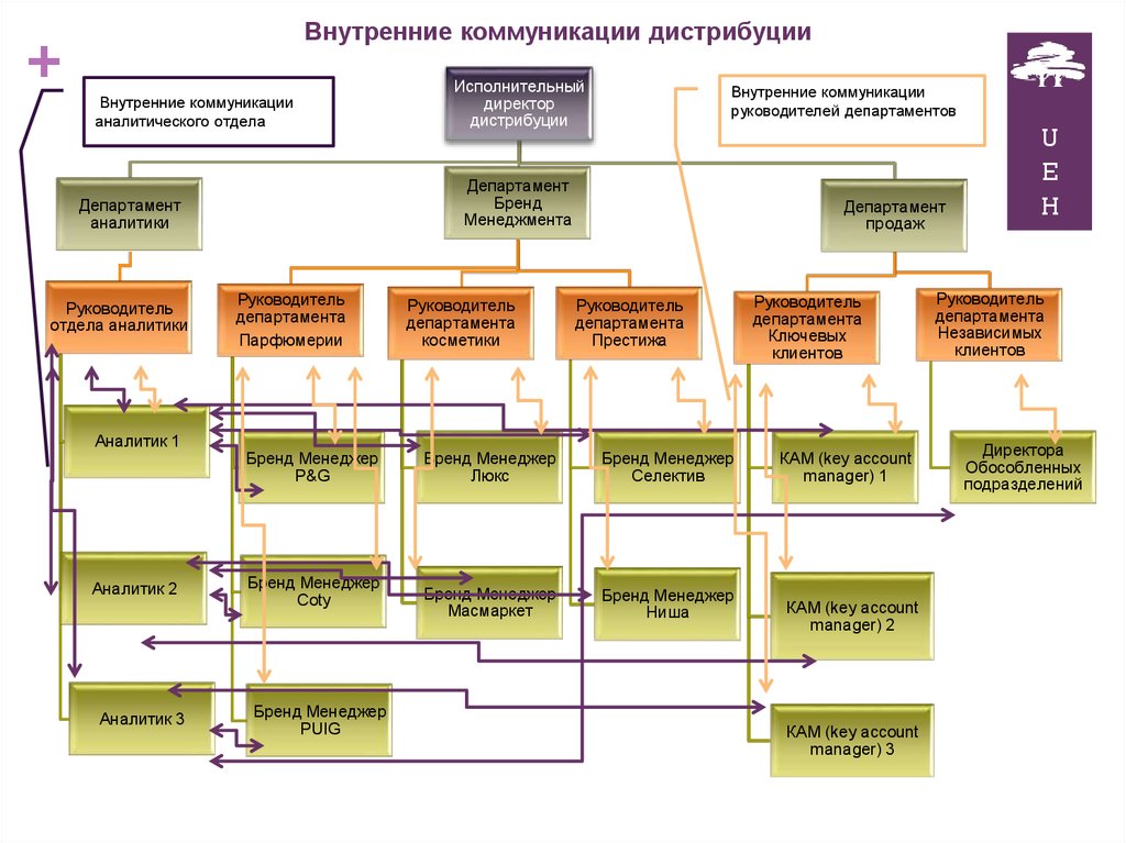 Группы fci схема классификация