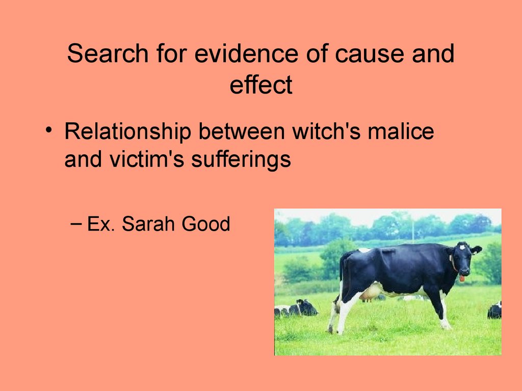 Search for evidence of cause and effect
