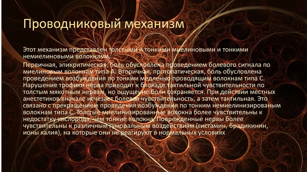 Схему структурной организации восприятия первичной локализованной боли эпикритической