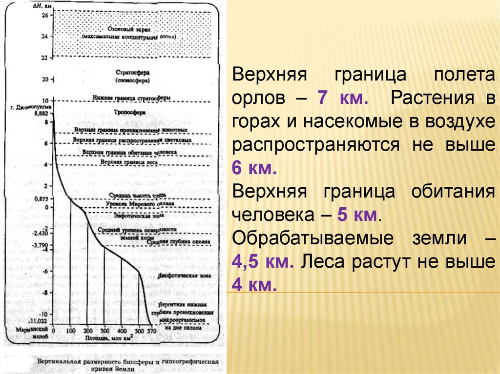 Наименьшая верхняя граница. Верхняя граница леса. Граница обитания человека выше 5000 м. Максимальная верхняя граница постоянного проживания человека. Рычагов верхняя граница леса.