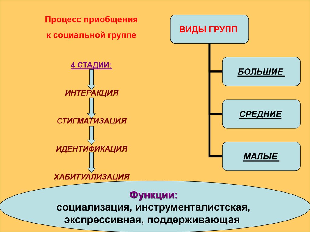 Малые социальные группы сложный план